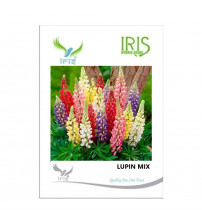 Iris Imported Lupin Mix 10 Seeds